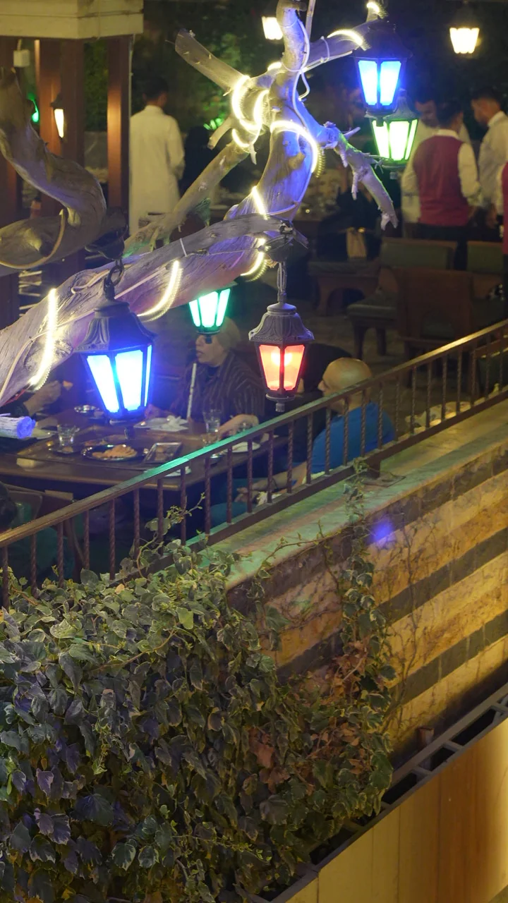 OutDoor Terrace